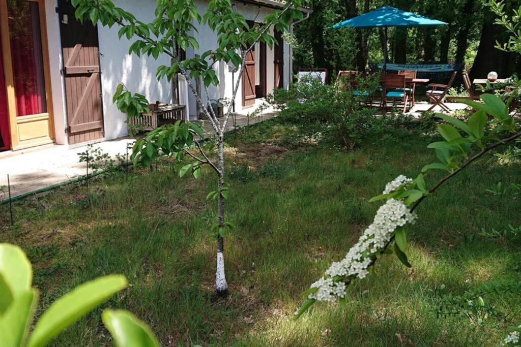 Villa Azurine Andernos Les Bains Экстерьер фото